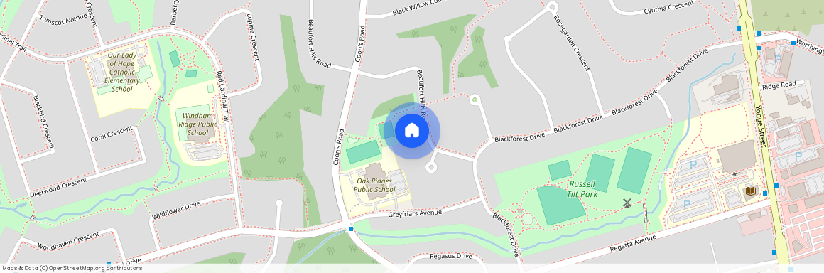 21 La Reine Avenue Unit# MAIN, Richmond Hill