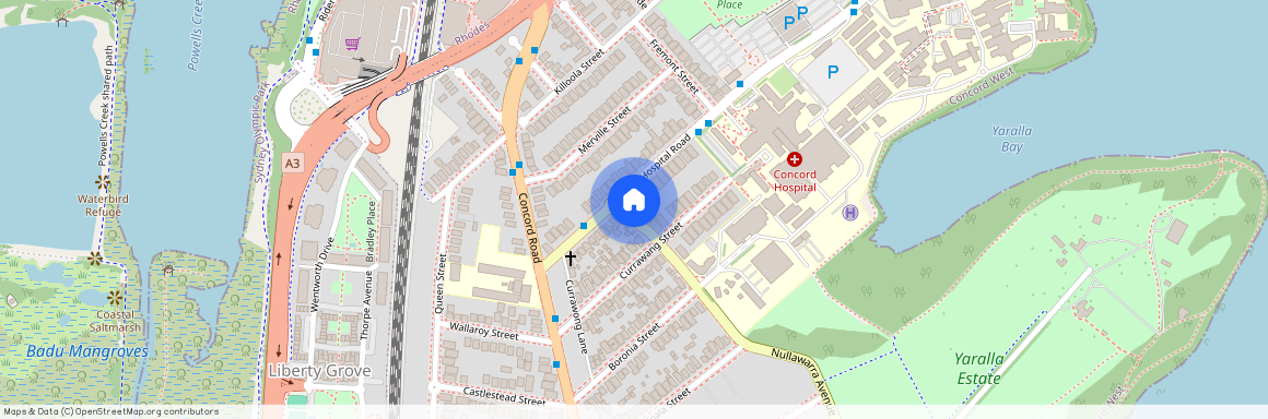 26 Hospital Road, Concord West NSW 2138