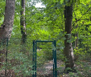 2-Zi.-Penthouse mit privatem Stadtpark-Zugang in HH Winterhude - Photo 4