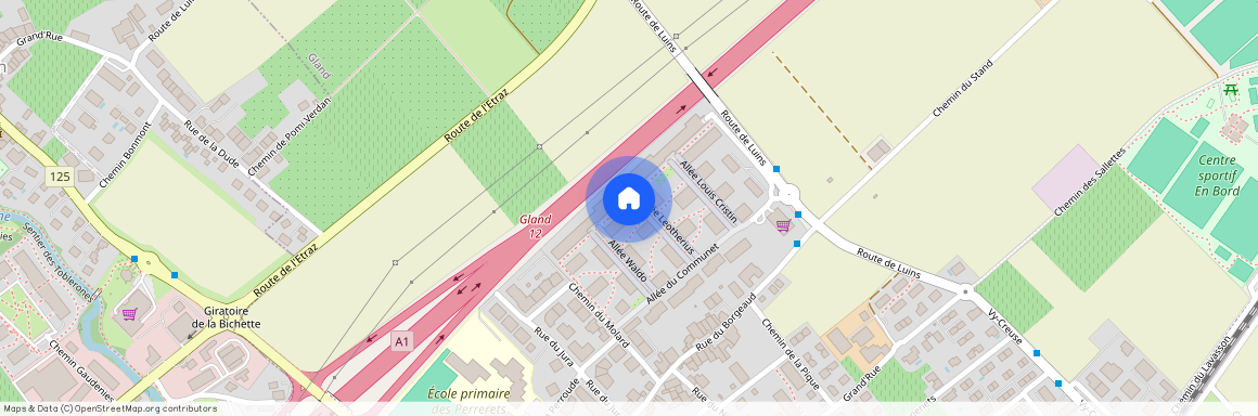 1196, Gland, Allée Leotherius, 5