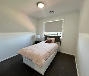 Your Private Oasis Awaits - The Boulevard - Photo 3