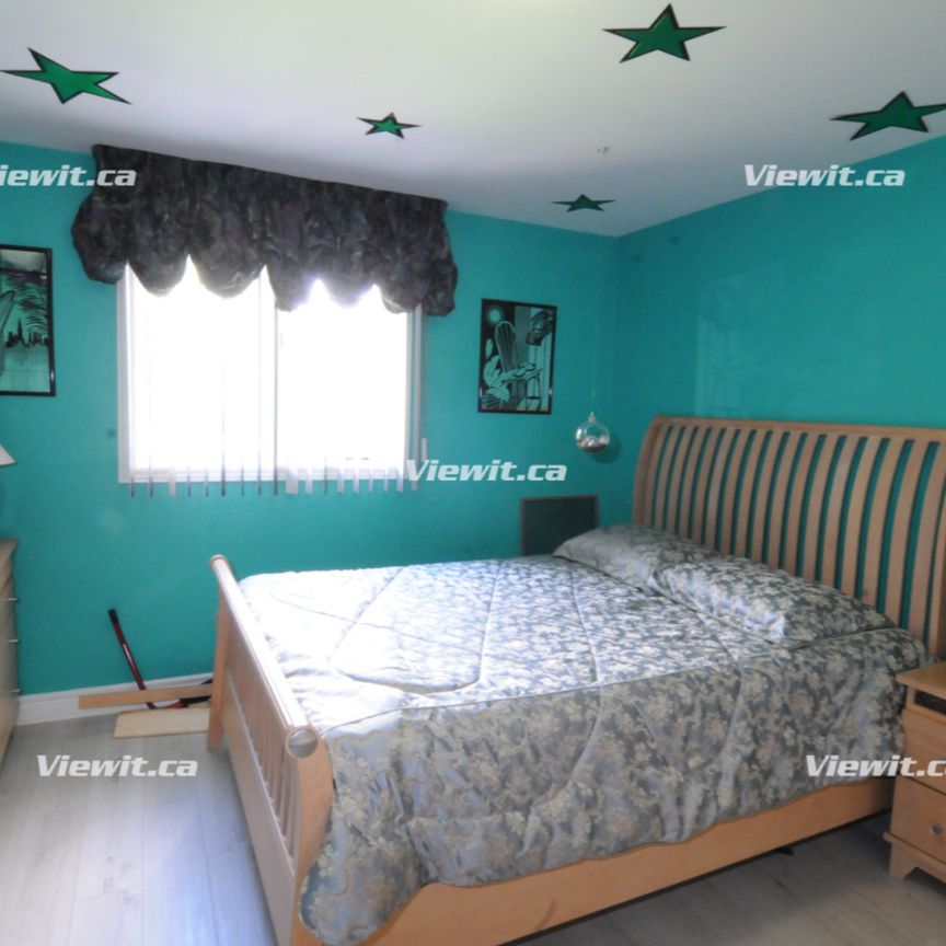 2 Rooms Available in LARGE House for Rent - Photo 1