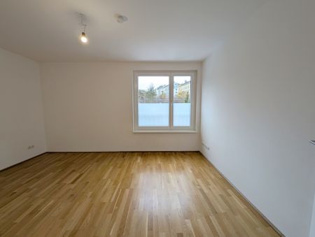 Großartige 2-Zimmer Wohnung mit Terrasse am Schubertpark in 1180 Wien zu mieten - Photo 5