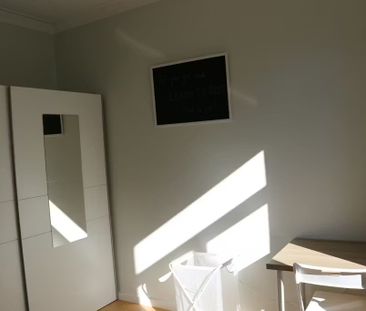 Rua do Covelo, Porto, Braga 4200-240 - Photo 5