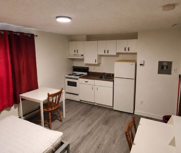 Studio - 1 1/2 Meublé Mont-Bellevue - Photo 1