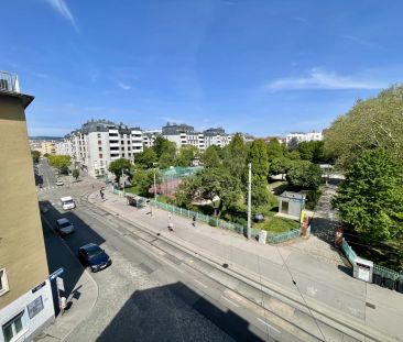 NÄHE U4 MEIDLING+U6 NIEDERHOFSTRASSE - SONNIGE ALTBAUWOHNUNG MIT GR... - Photo 1