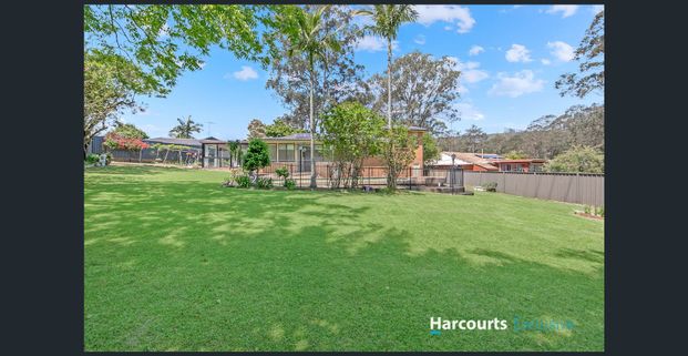 LIVE, WORK & PLAY! - Photo 1