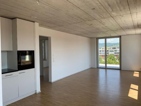 Wohnung mit Weitsicht und grosser Dachterrasse - Foto 1