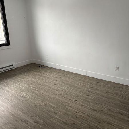 Appartement 1 chambre à louer - Photo 4