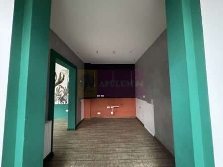 Casa Zona Dorobanti | Floreasca | Curte - Fotografie 4
