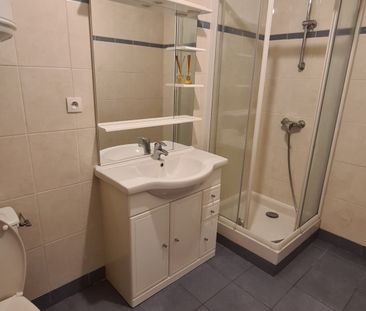 Location Appartement 2 pièces 39m² VILLEJUST 91140 - Photo 3