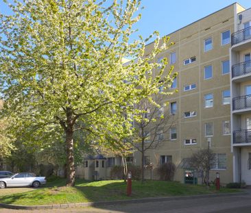 Geräumige, zentrale 2 Raumwohnung - Photo 1