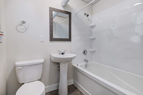 1 Bedroom - Photo 1