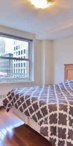 Available Dec 1st-Furnished 1 Bedroom Waterfront Station 440 Richards - Photo 3