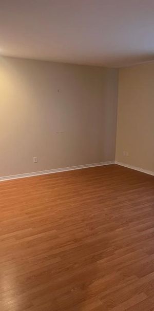 appât à louer - Photo 1