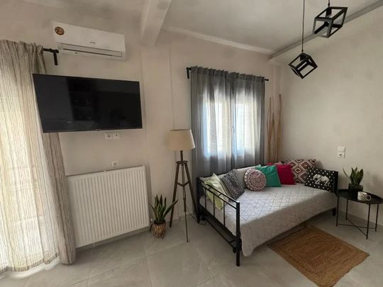 Studio/Γκαρσονιέρα για ενοικίαση Τριανδρία (Τριανδρία - Δόξα - Κρυονέρι) - Photo 1