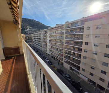 Location Appartement 1 pièce 30m² NICE 06300 - Photo 6