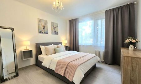 PINK reality - NA PRENÁJOM - 1 izbový byt na Nešporovej ulici v Šali. - Fotografia 3