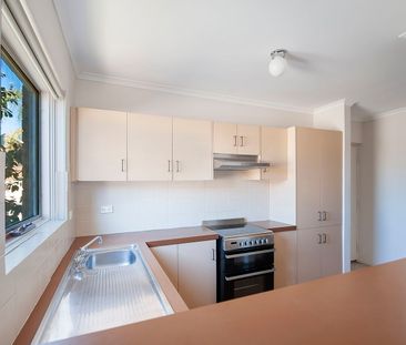 Unit 15/388 Carrington Street - Photo 3