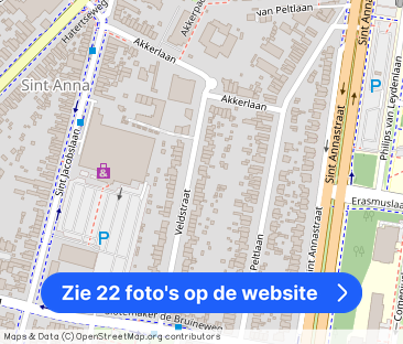 Tijdelijk; Ruime gemeubileerde woning aan de Veldstraat te Nijmegen - Foto 1