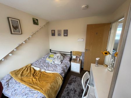 Cathays Terrace, Cathays - Photo 3
