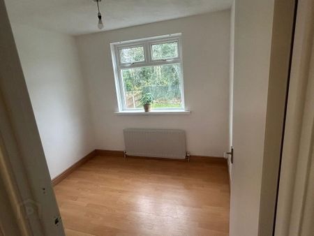 95 Gregg Street, Lisburn, BT27 5AW - Photo 4