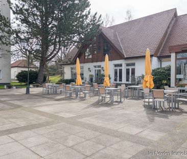 Wohnen auf der Wilhelmshöhe in Eutin: 2-Zimmer-Wohnung mit sonniger Terrasse zu mieten - Foto 3