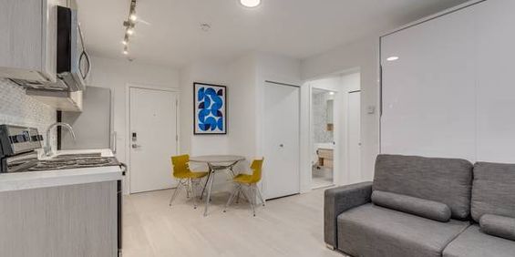 Pet Friendly - Available January 1st - Furnished Studio @ 1425 Haro - Photo 3