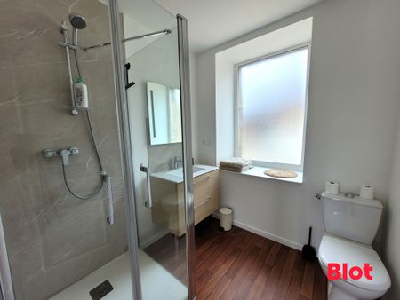 Location Appartement 1 pièce 20m² DINGE 35440 - Photo 4