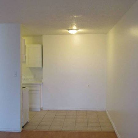 1bdr, $1850, available right now, brand new renovated - Photo 4