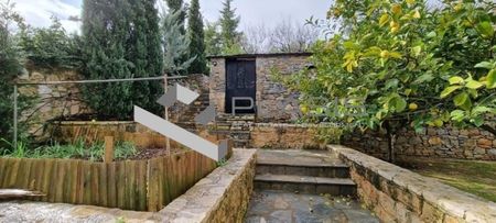Μονοκατοικία για ενοικίαση Άγιος Αθανάσιος (Παλλήνη) - Φωτογραφία 3