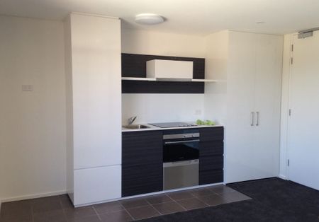 104b/250 Flinders St, Adelaide SA 5000 - House For Rent | Domain - Photo 2