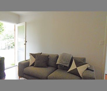 Fresh as a Daisy - Photo 1