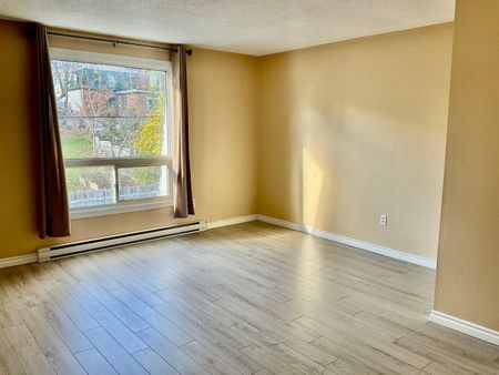 For Lease - 156 Moira Street Unit# Unit 3, Belleville, Ontario - Photo 3