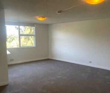 SUNNY STUDIO IN NORTH SYDNEY! - Photo 1