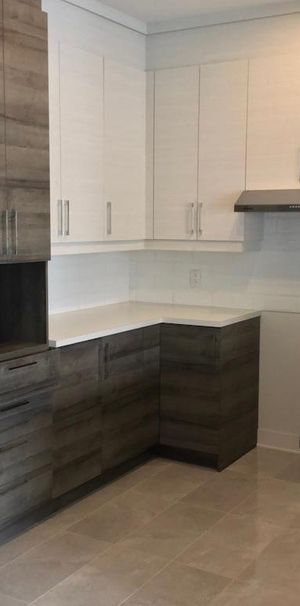 App/condo 4 1/2 Mercier Hochelaga Maisonneuve (Tétreaultville) - Photo 1