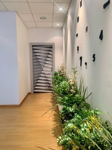 Studio/Ufficio in Affitto a Canobbio - Foto 3