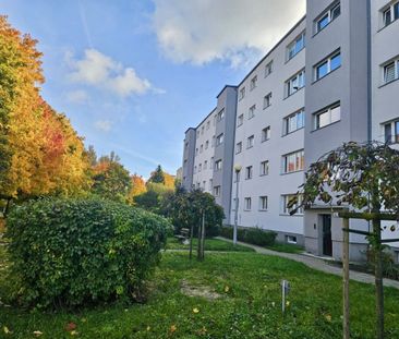 Mieszkanie Trzypokojowe w centrum miasta - Photo 4