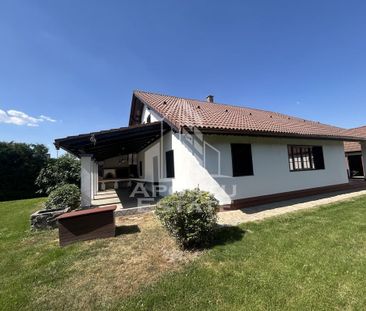 Casa cu 5 camere de inchiriat, curte proprie, Sanmihaiu Roman, Timis - Fotografie 5