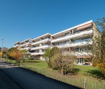 3.5 Zimmer, 67 m², 1. Stock - Photo 4