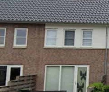 Watermunt, 3 - Foto 4