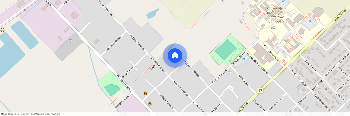 ON, 45 Victoria Ave, N0P 2C0, Ridgetown
