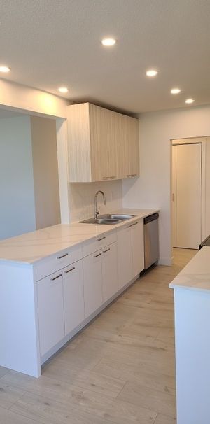 Conifer Place #1 - Photo 1