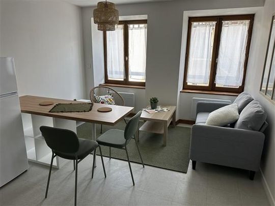 Location Appartement 1 pièce 29m² MONISTROL SUR LOIRE 43120 - Photo 1