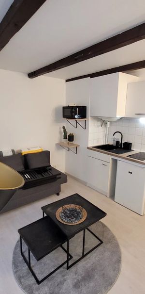 Location Appartement 1 pièce 17m² AIX EN PROVENCE 13100 - Photo 1