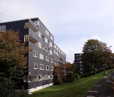 2 Zimmer in der 3 Etage mit tollem Balkon - Foto 3