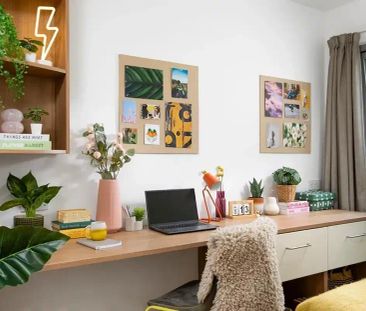 Large Standard Double Studio - Photo 5