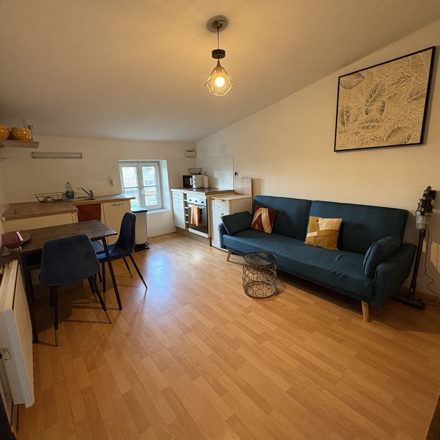 Location Appartement 2 pièces 29m² TOURNON SUR RHONE 07300 - Photo 1