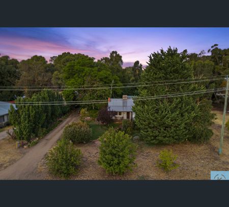 44 Cobram Street, Tocumwal, NSW 2714 - Photo 4