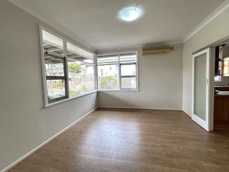 49 Kilbride Street Hurlstone Park - Photo 4